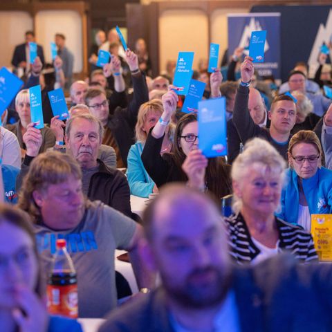 AfD Mitglieder