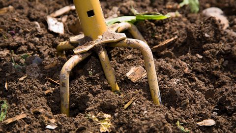 Eine Nahaufnahme eines Garten-"Klauen"-Werkzeugs, das in frisch bearbeitetem Boden gräbt
