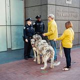 Ein Paar mit currygelben Jacken und zwei Irischen Wolfshunden spricht mit zwei Streifenpolizisten