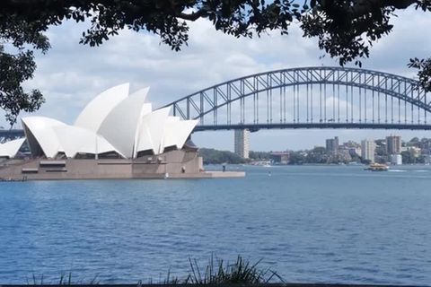 Australien: Hai-Angriff im Hafen von Sydney – Frau schwer verletzt