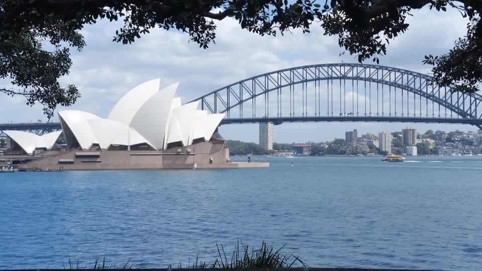 Australien: Hai-Angriff im Hafen von Sydney – Frau schwer verletzt