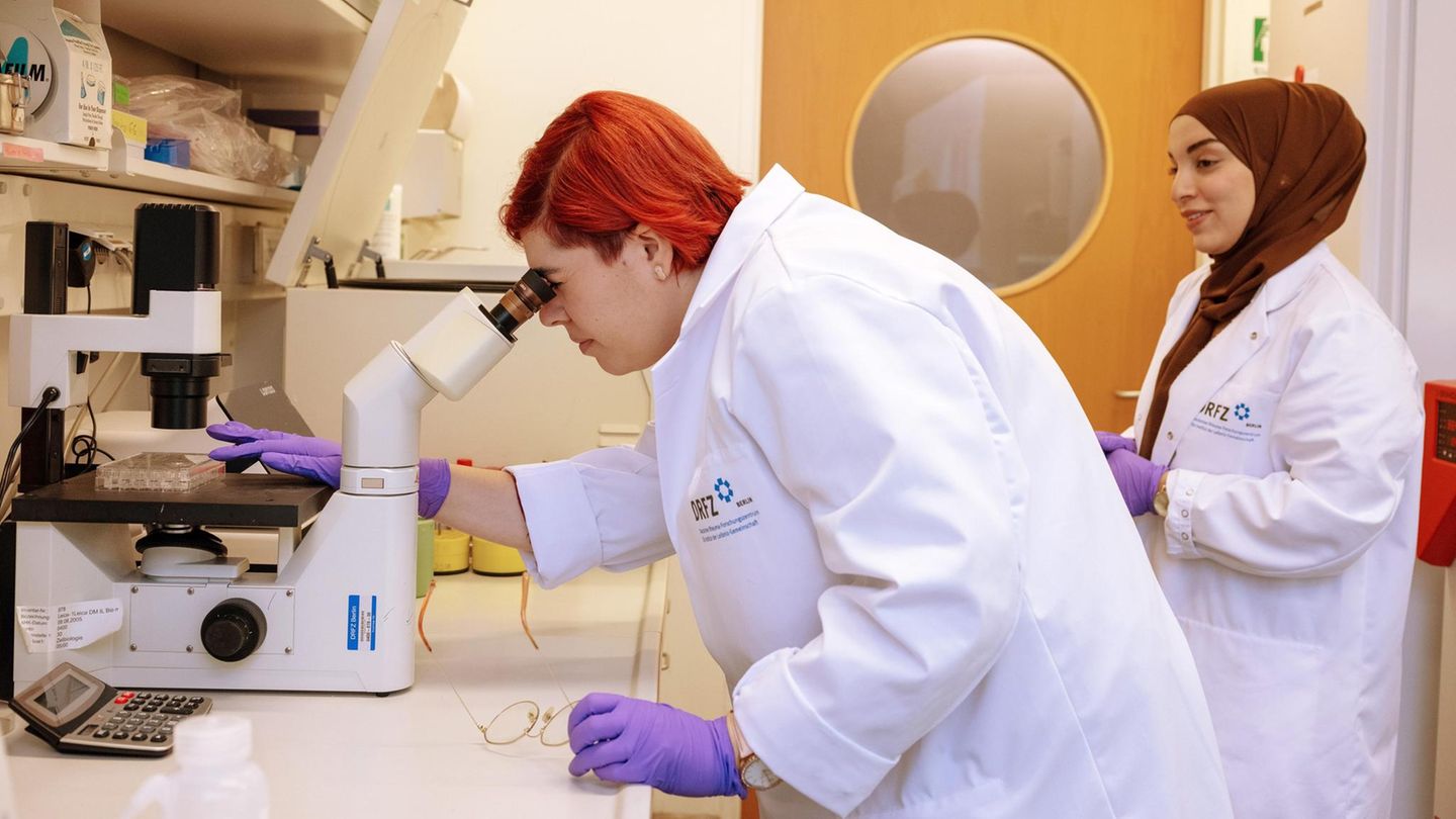 Zwei Frauen in Kitteln an einem Mirkoskop