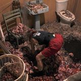 "Boah, ist das schwer", klagt Lucy, während sie sich durch Massen von Fleischabfällen wühlt. Am Ende reicht es für vier Sterne.