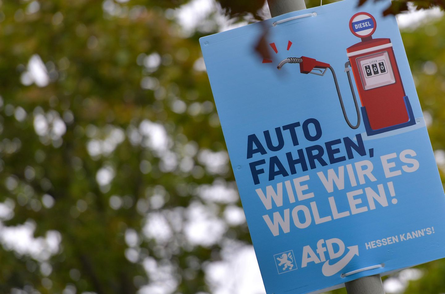 AfD-Wahlplakat in Hessen: "Auto fahren, wie wir es wollen!"