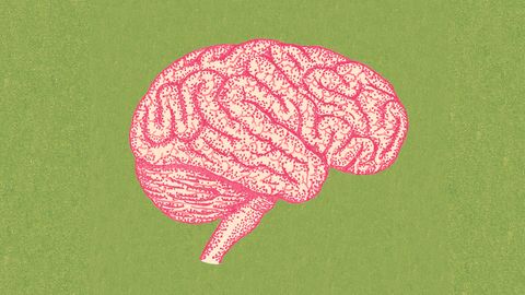 Illustration zeigt eine Zeichnung eines Pinken Gehirns auf Grünem Grund