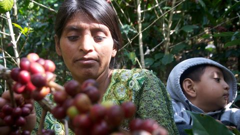 Kaffeeanbauerin in Guatemala