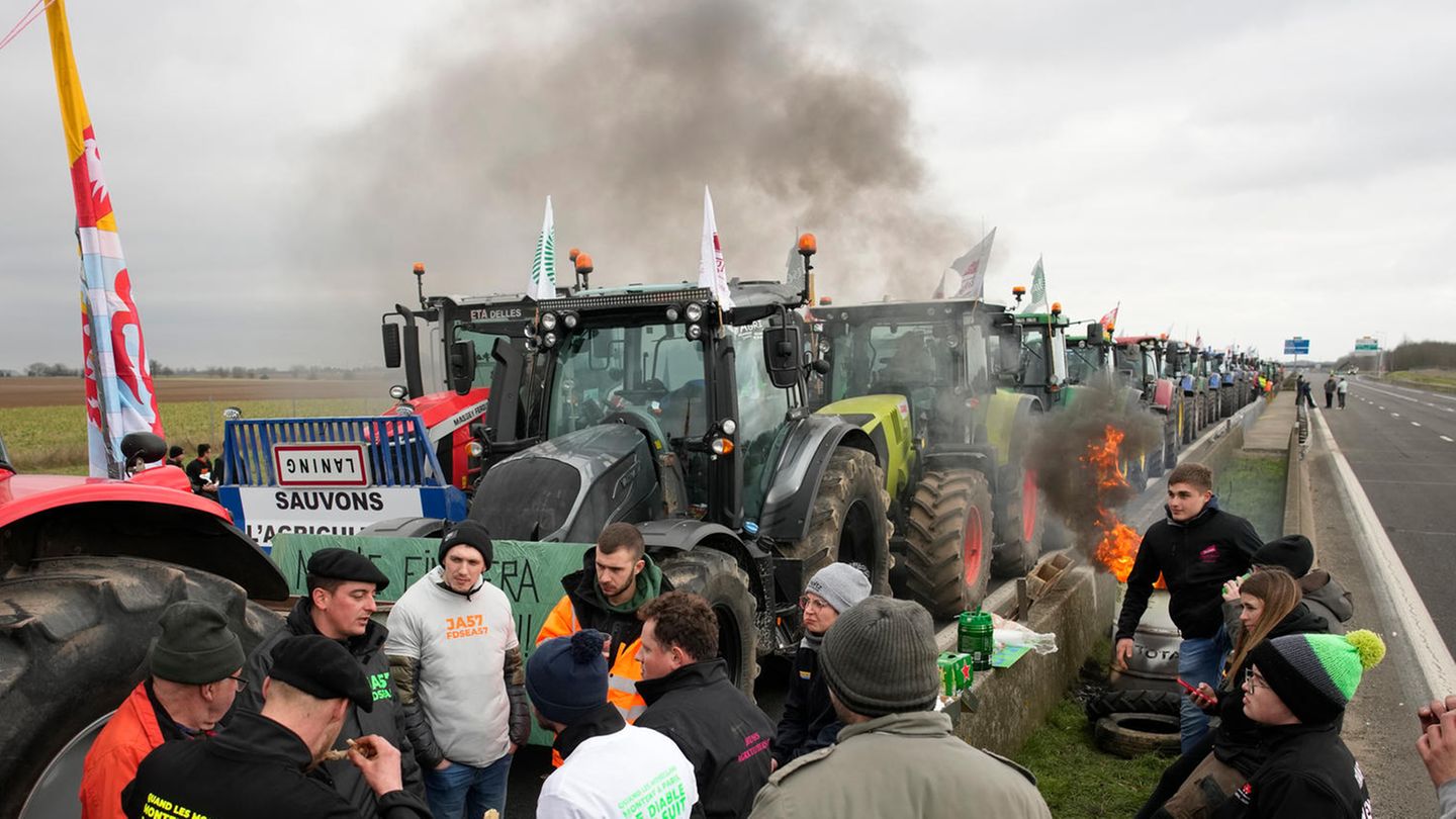 Agricultural diesel: Three federal states want to subsidize fuel for longer