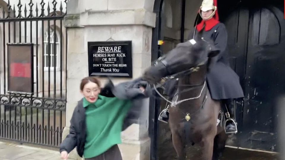 Als eine Touristin vor einer Wache und seinem Pferd posiert, kommt sie dem Tier jedoch etwas zu nahe. Die prompte Reaktion: Das Pferd verbeißt sich in ihrem Ärmel.