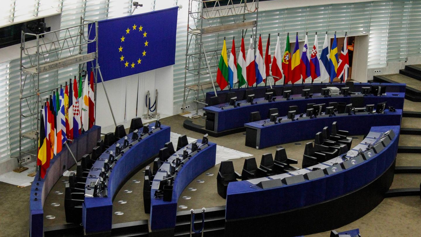 European elections: Criticism of Dava – what the New Party is all about