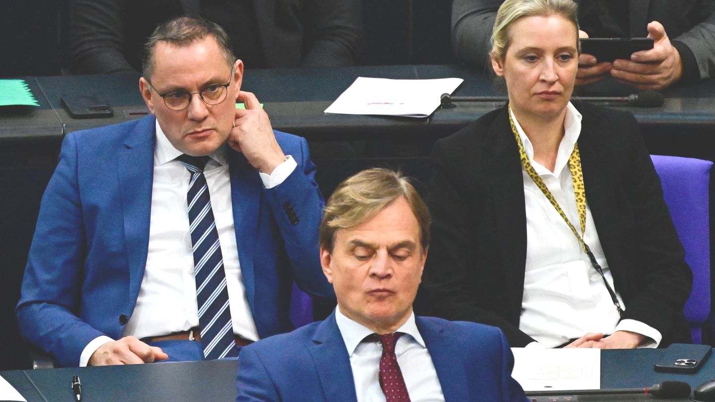 Possible AfD participation in government: German decision-makers are against it
