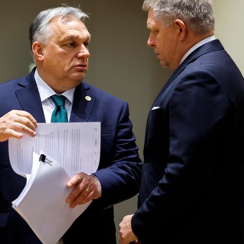 Viktor Orban und Robert Fico im Gespräch