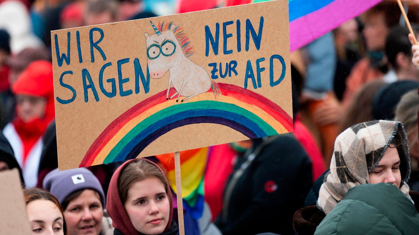 Auch das "Neinhorn" des Autoren und Künstlers Marc-Uwe Kling darf auf der Demo nicht fehlen