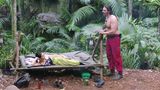 Dschungelcamp