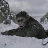 Planet der Affen 4: New Kingdom