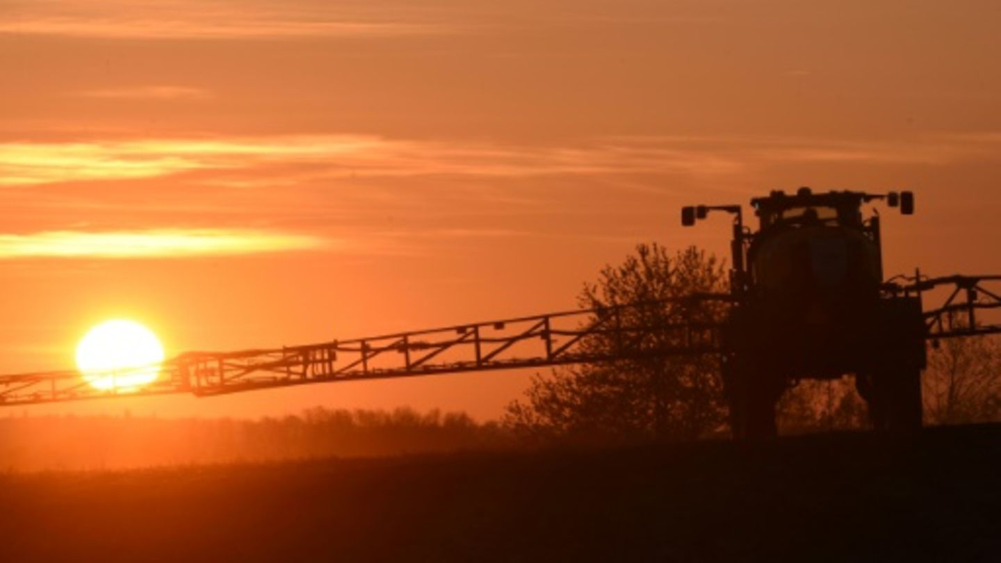 Agrarpolitik: EU-Kommission zieht Gesetz für Pestizidverringerung zurück