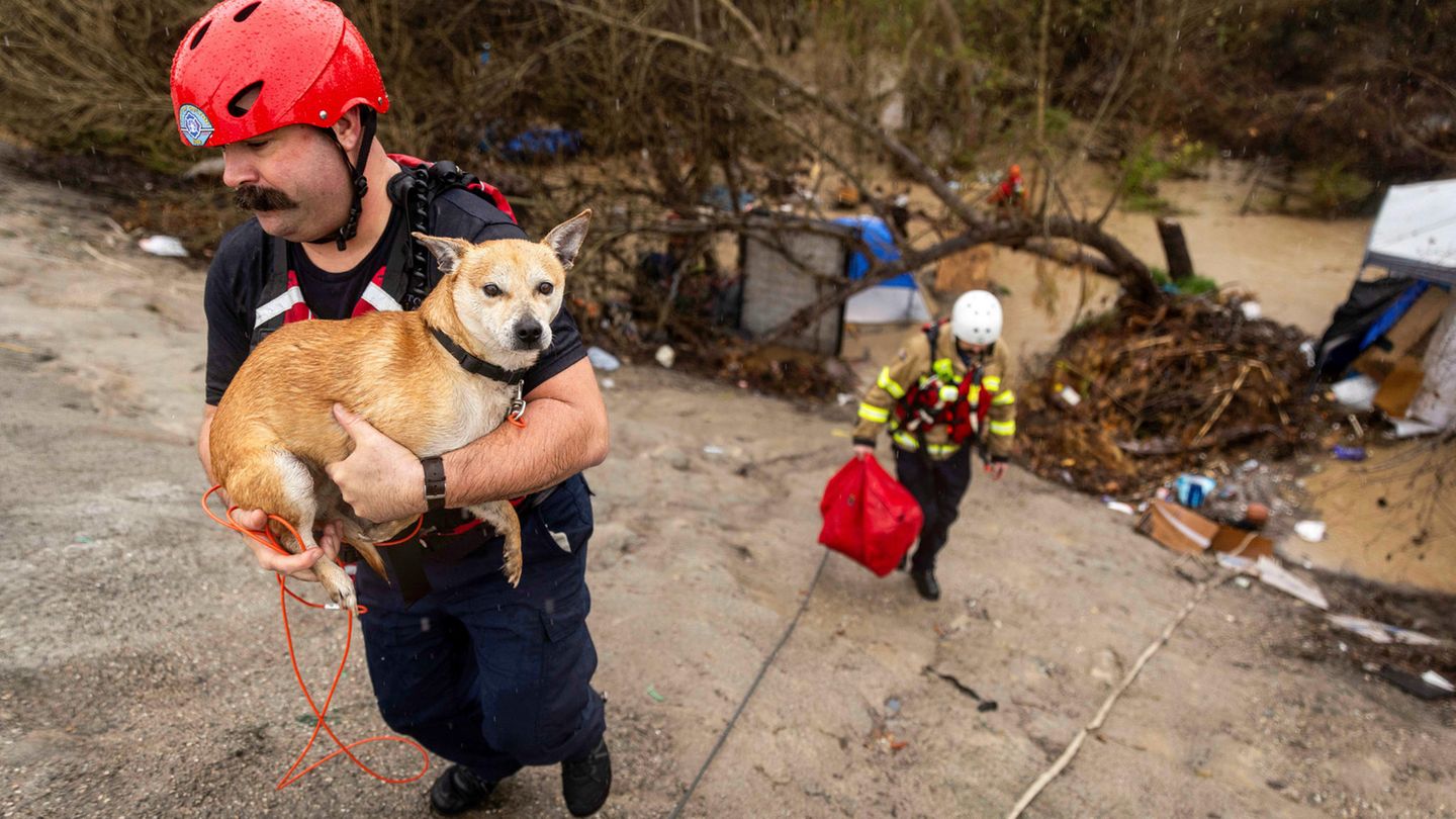 Ein Feuerwehrmann in Kalifornien trägt einen kleinen Hund im Arm