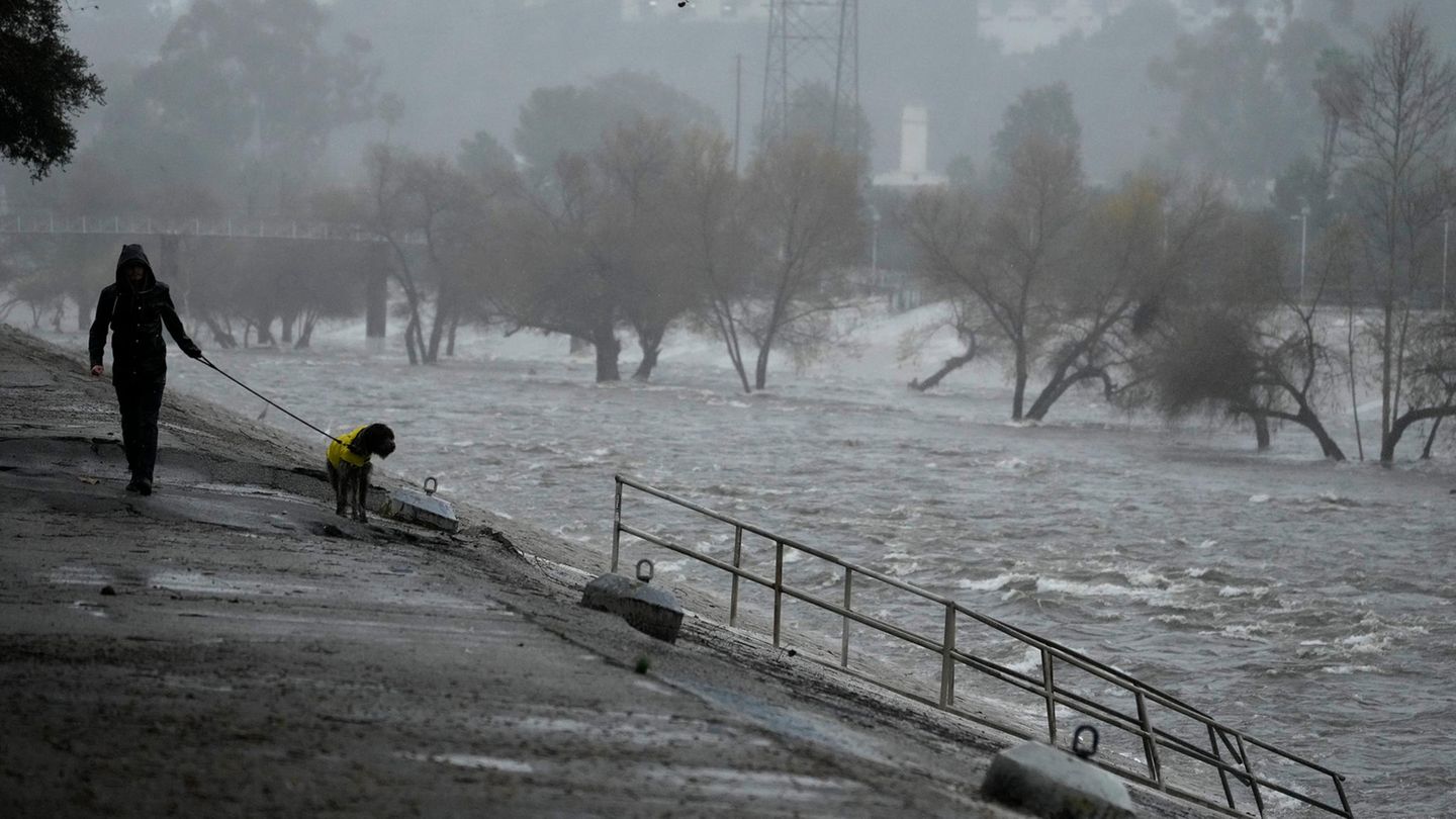 Um mit dem Hund rauszugehen, ist das Wetter zumindest in diesem Fall noch in Ordnung. Aufgenommen wurde das Bild am Ufer des am Ufer des Los Angeles River.