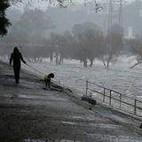 Um mit dem Hund rauszugehen, ist das Wetter zumindest in diesem Fall noch in Ordnung. Aufgenommen wurde das Bild am Ufer des am Ufer des Los Angeles River.