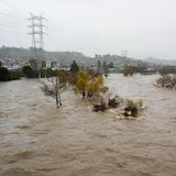 Der Los Angeles River in Kalifornien ist über die Ufer getreten