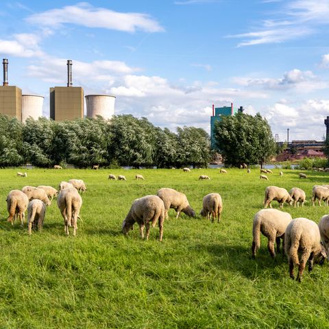 Gaskraftwerk Duisburg-Huckingen, betrieben von RWE, auf dem Gelände der Hüttenwerke Krupp Mannesmann. 