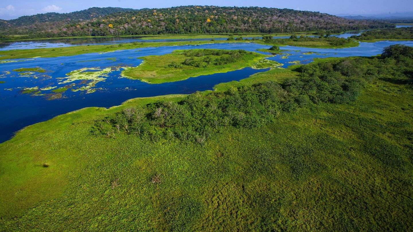 Die Insel Barro Colorado wird vom Chagres-Fluss gespeist.