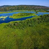 Die Insel Barro Colorado wird vom Chagres-Fluss gespeist.
