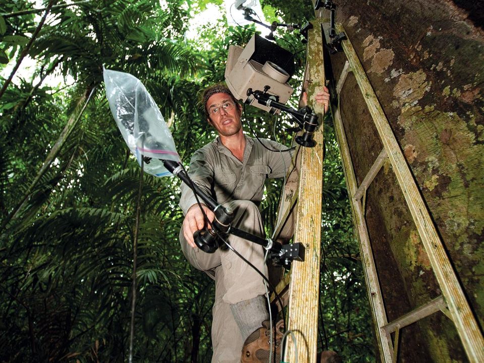 Der Fotograf Christian Ziegler (hier im Bild) fotografiert in Panama über Monate Fledermäuse auf einer kleinen Insel. Der Fotograf Christian Ziegler (hier im Bild) fotografiert in Panama über Monate Fledermäuse auf einer kleinen Insel.