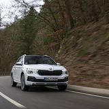 Maximal sind 195 km/h möglich