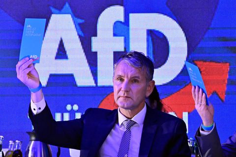 Björn Höcke, AfD-Landeschef in Thüringen