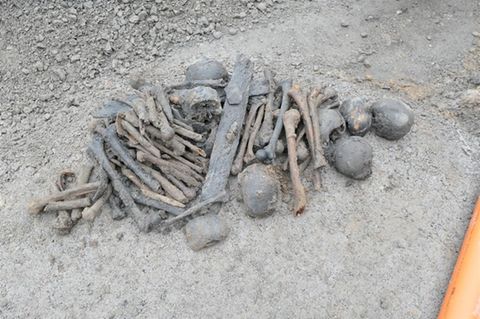 Bei Erdarbeiten nach dem Abriss eines Hauses in Lipetal kamen diese Überreste zum Vorschein