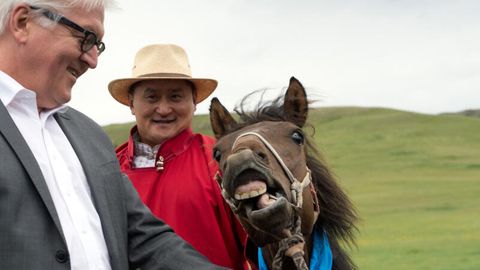 Frank-Walter Steinmeier mit seinem Pferd in der Mongolei 2014