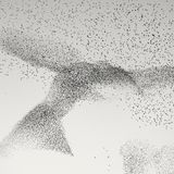 Diese Stare in Rom scheinen auf dem Weg zu ihren Schlafplätzen – so scheint es – als Schwarm einen übergroßen Vogel zu bilden