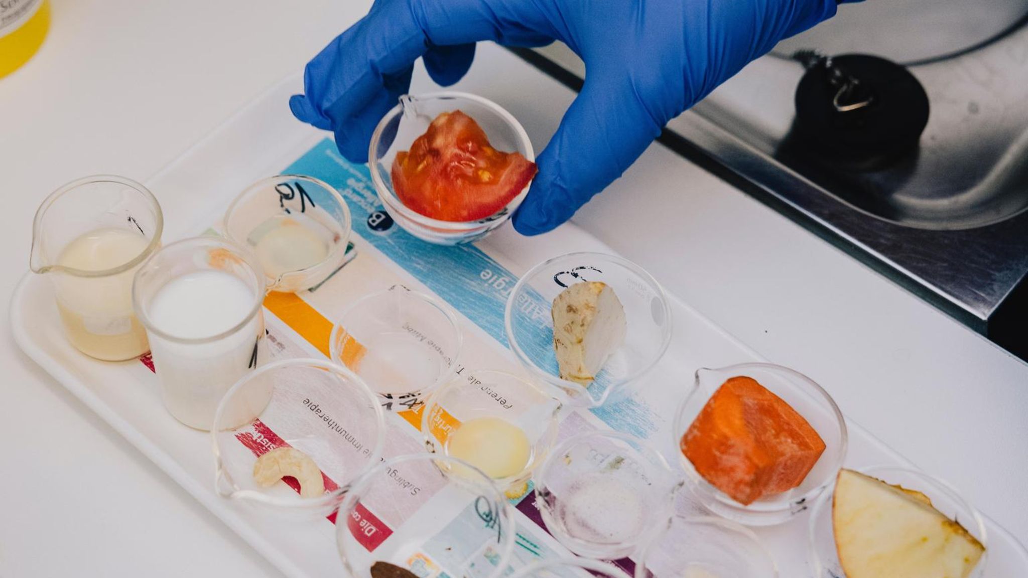 Allergie: Allergene werden für Tests vorbereitet