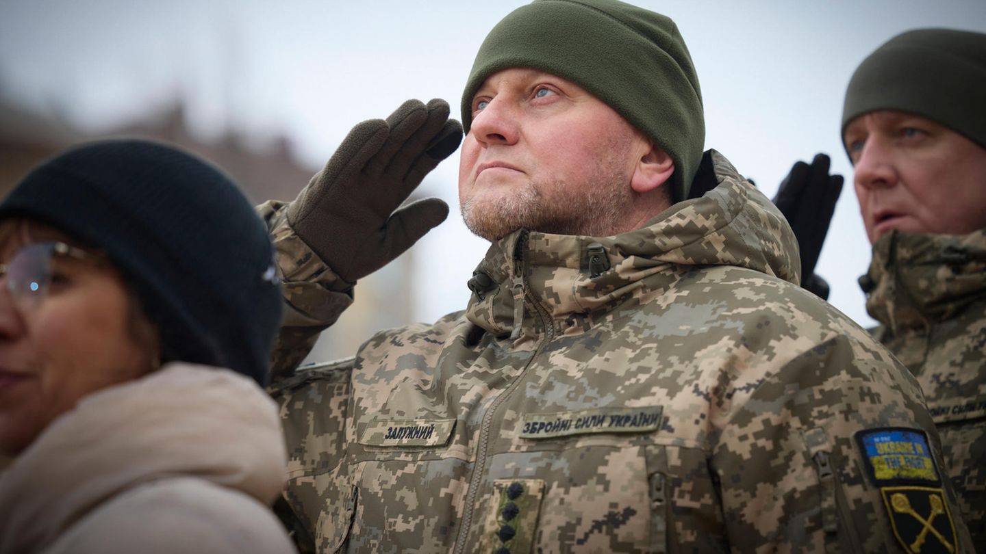 Ukraine: General Saluzhnyi removed as army chief