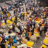 Der Blumenmarkt "Mullick Ghat" in Kolkata ist mehr als 130 Jahre alt, die Aufnahme stammt vom Januar 2023