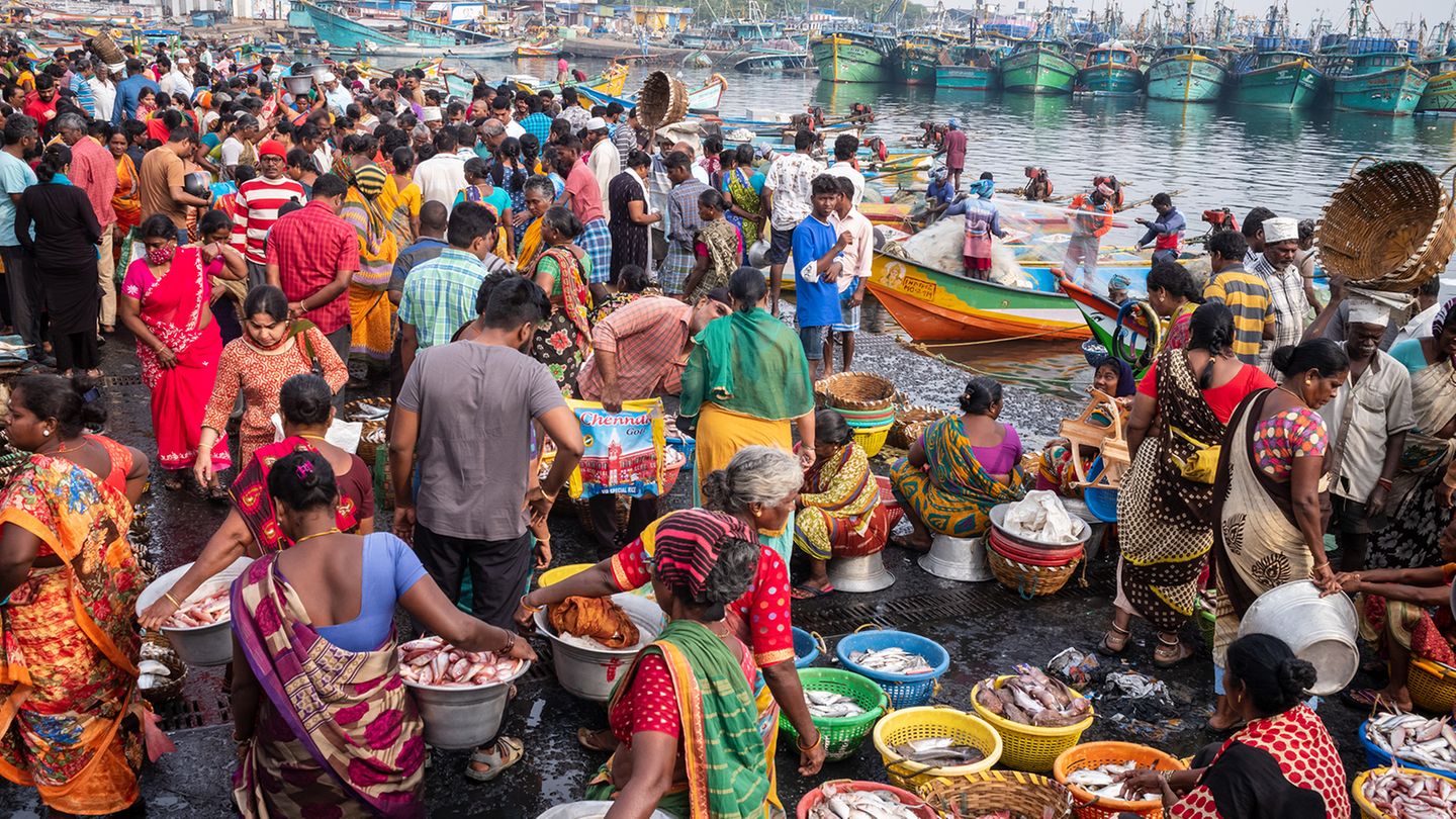 Der "Kasimedu"-Fischmarkt in Chennai, einer Metropole an der indischen Ostküste. Das Foto entstand im Februar 2023.