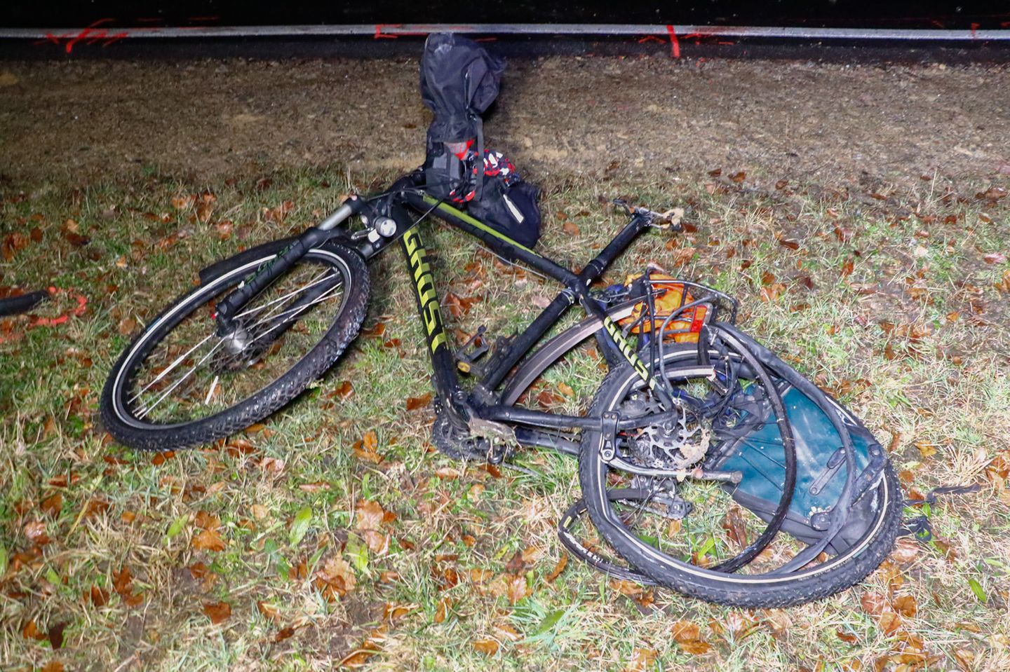 Aktivist "Natenom": Das Fahrrad des verunglückten Andreas Mandalka liegt nach dem Unfall neben der Landstraße