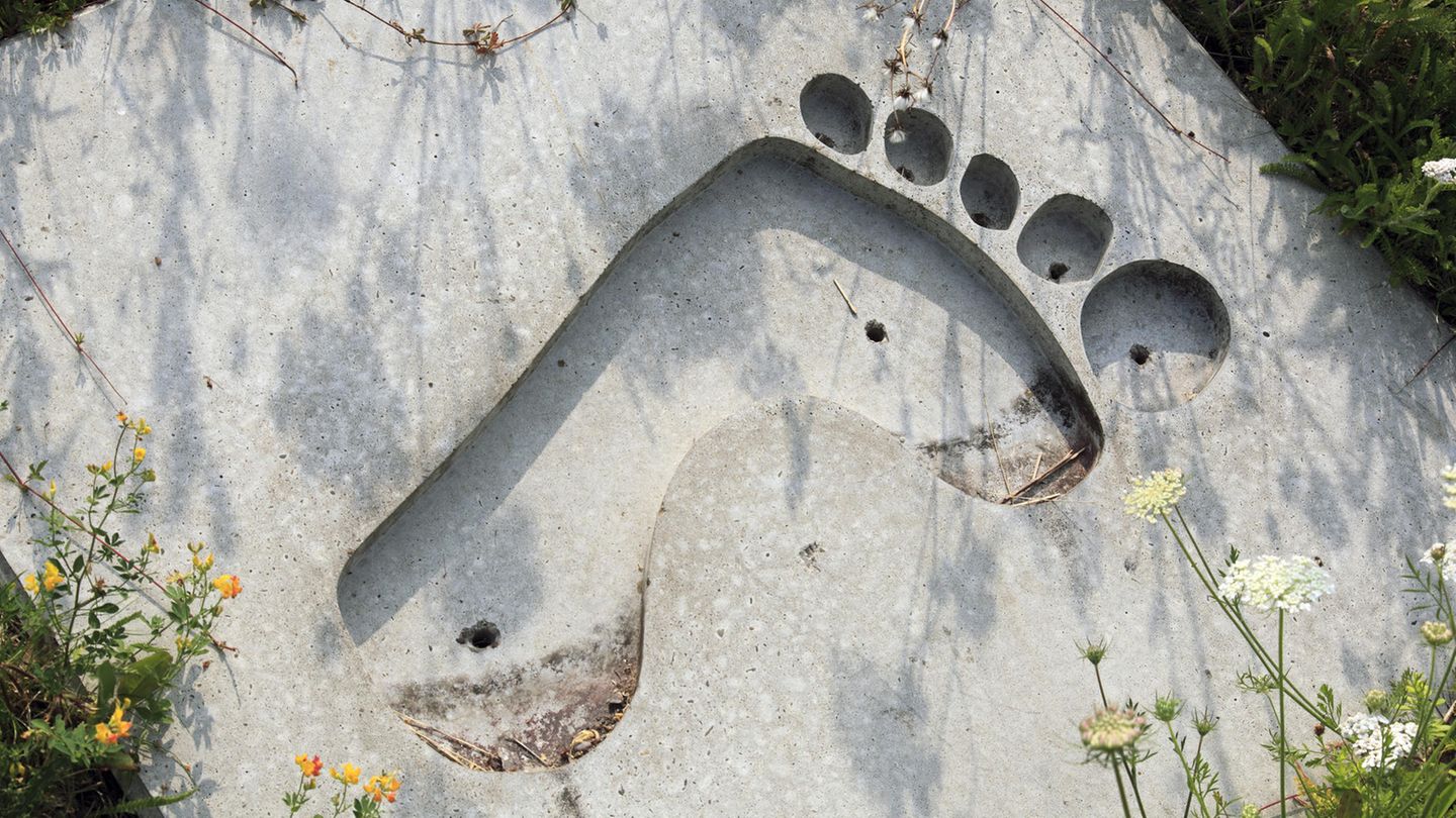 Interaktive Infografik: Der CO2-Fußabdruck ist Unsinn – er lenkt vom eigentlichen Problem ab Interaktive Infografik: Der CO2-Fußabdruck ist Unsinn – er lenkt vom eigentlichen Problem ab