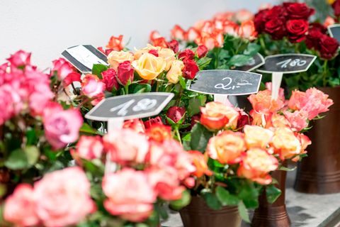 In einem Blumenladen stehen vor dem Valentinstag verschiedene Rosen