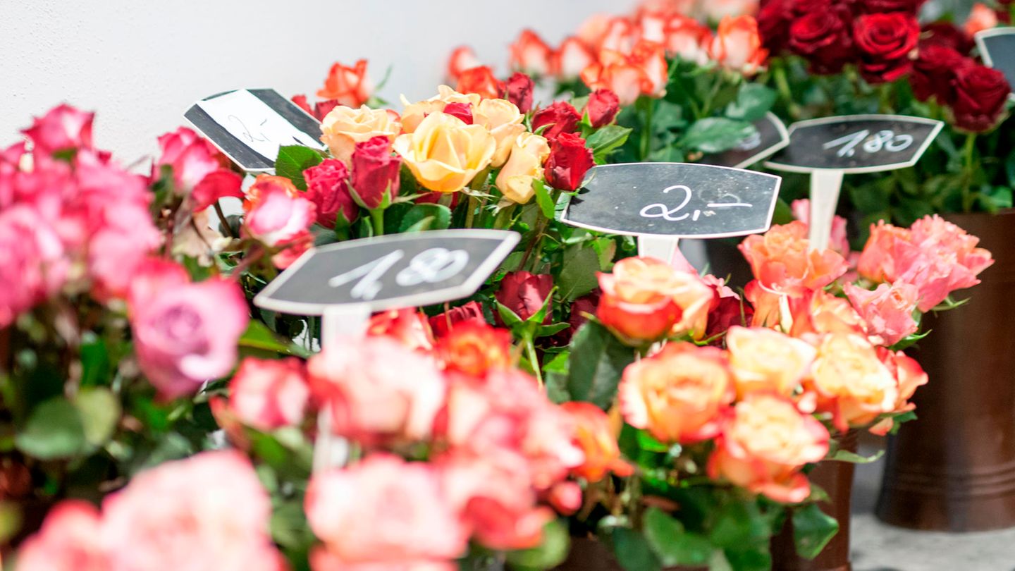 Fragen und Antworten: Beliebtes Geschenk zum Valentinstag: Wie nachhaltig sind Schnittblumen?