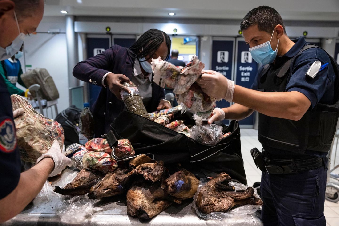 Am Flughafen Charles de Gaulle, Paris, entdeckten Kontrolleure 2021 tonnenweise illegales Wildfleisch