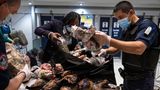 Am Flughafen Charles de Gaulle, Paris, entdeckten Kontrolleure 2021 tonnenweise illegales Wildfleisch