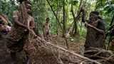Die Mbuti-Pygmäen jagen im Okapi-Wildtierreservat mit Netzen aus Pflanzenfasern
