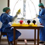 Kongo: Doktoranden fahnden in Blutproben von Dorfbewohnern nach Viren