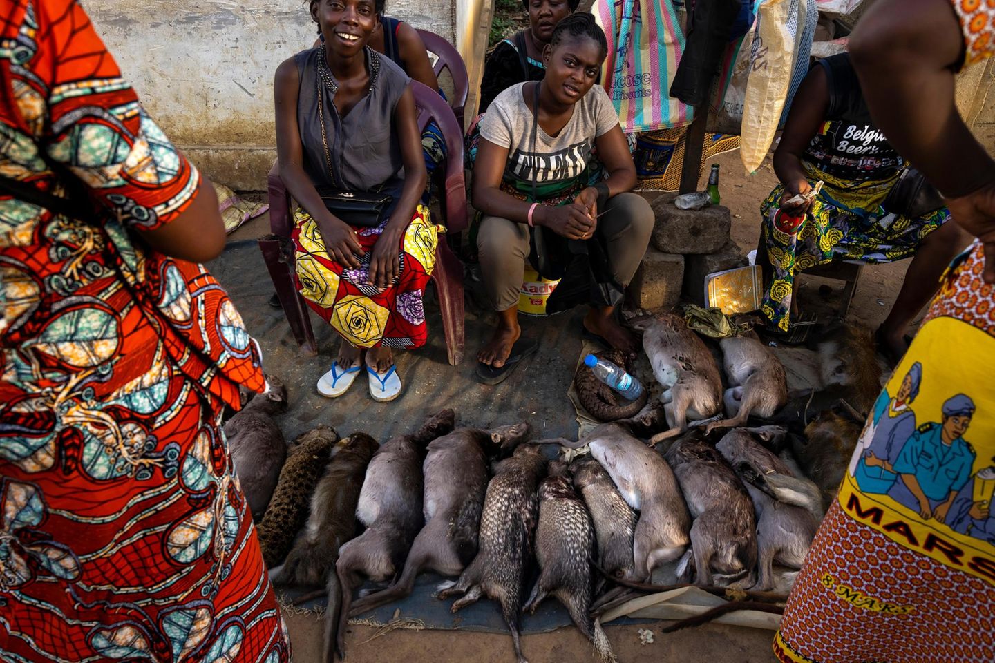 Verkäuferinnen im Kongo mit erlegten Wildtieren