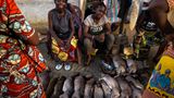 Verkäuferinnen im Kongo mit erlegten Wildtieren
