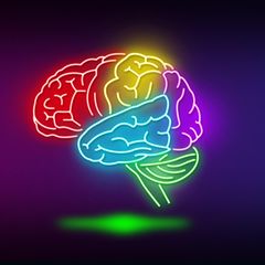 Symbolfoto zum Quiz Allgemeinwissen: Illustration eines Gehirns