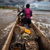 Kongo: Lieferanten transportieren das Wildtierfleisch per Boot