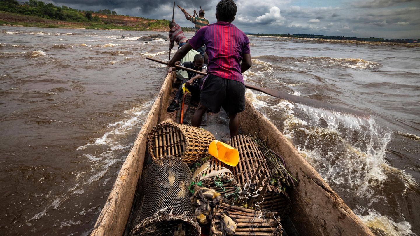 Kongo: Lieferanten transportieren das Wildtierfleisch per Boot