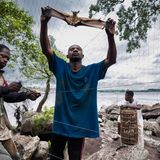 Jägern sammeln Fledermäuse auf einer Insel ein paar Stunden von Kongos Hauptstadt Brazzaville entfernt